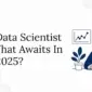 Vibrant Data Scientist Salary What Awaits In 2025 85x85